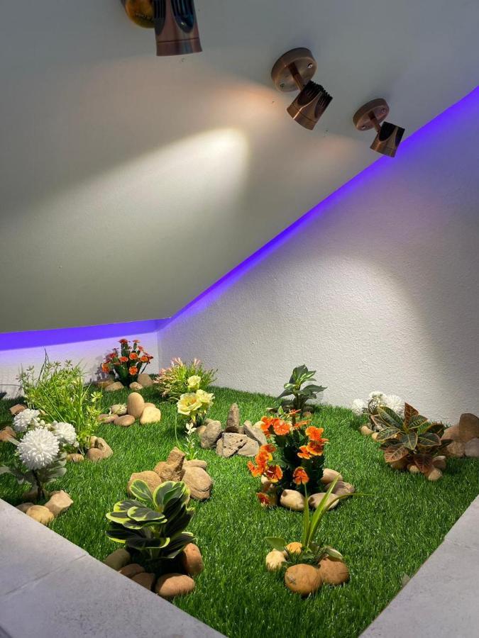 سويت روز العلا للشقق المفروشة Sweet Rose Al Ula Organizing Tours エクステリア 写真